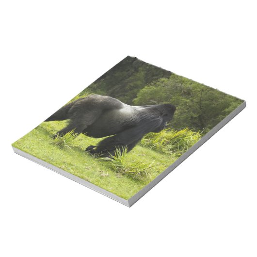 Rwanda, Volcanoes National Park Notitieblok (Gedraaid)