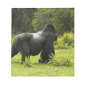 Rwanda, Volcanoes National Park Notitieblok (Voorkant)