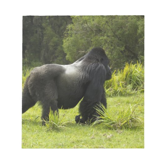 Rwanda, Volcanoes National Park Notitieblok (Voorkant)