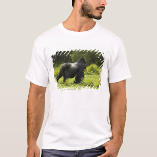 Rwanda, Volcanoes National Park T-shirt