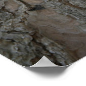 Ryan Kelly Music - Poster - Valentine (Coin)