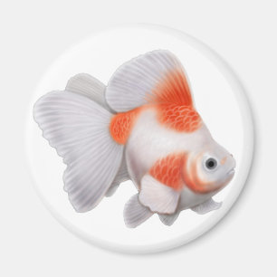 Ryukin Goldfish Round Magnet Magneet