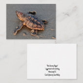 s Carte de note à écouvillonner de tortue (Devant / Derrière)