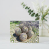 S I X BRIEFKAART (Staand voorkant)