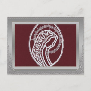 S. Mary Elegant Silver Border lijst, aangepaste fo Briefkaart