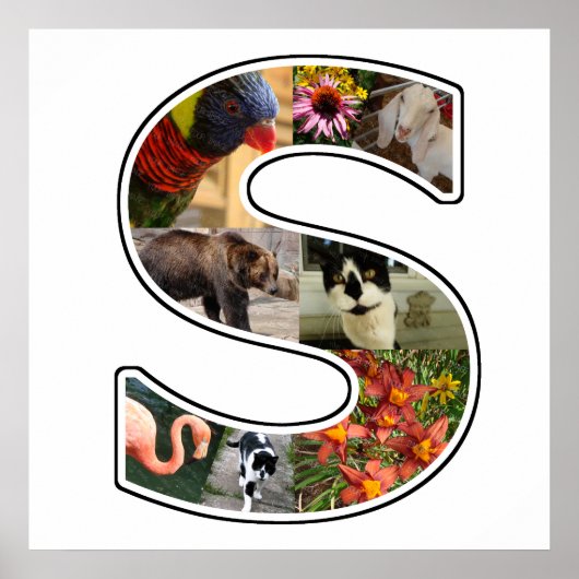 S Monogram Creëer Uw Eigen 8 Aangepaste Foto Colla Poster (Voorkant)