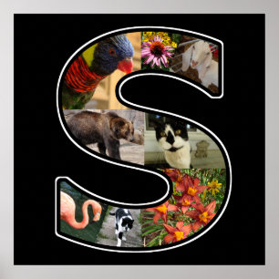 S Monogram Creëer Uw Ewn 8 Foto Collage Black Poster