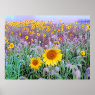 's Morgens, afdrukken Poster