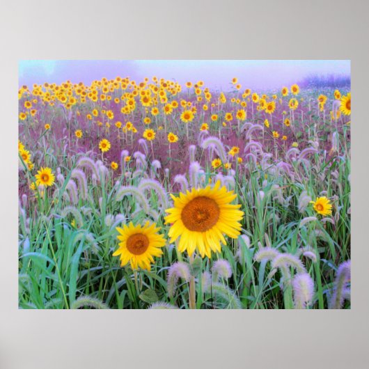 's Morgens, afdrukken Poster (Voorkant)