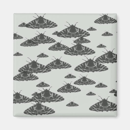 's Nachts in de nacht Magneet (Voorkant)