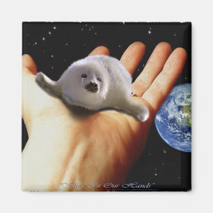 S.O.S. BESPAAR ONZE HARP SEALS MAGNEET