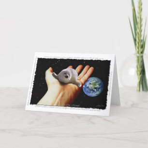 S.O.S. SAUVEZ NOTRE carte de voeux de PHOQUES de