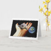 S.O.S. SAVE ONS Wenskaart van ZADELROBBEN Kaart (Gele Bloem)