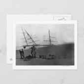 S.S. Alice McDonald Wreck Ilwaco Peninsula Briefkaart (Voorkant / Achterkant)