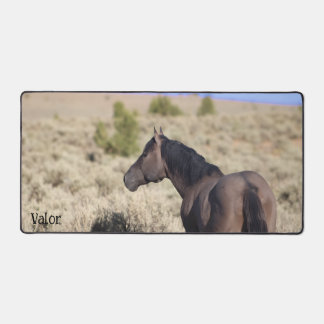 S Steens Stallion Bureaumat