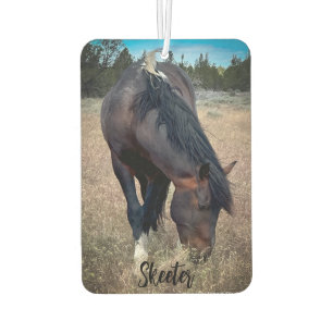 S Steens Stallions Luchtverfrisser