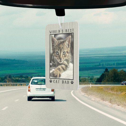 's Werelds beste kat-pap schildert foto-Lijst afdr Luchtverfrisser