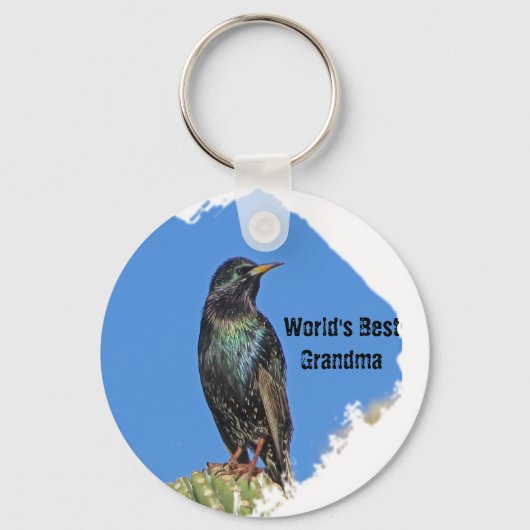 'S Werelds beste oma Starling en Cactus Zuidwest Sleutelhanger (Voorkant)