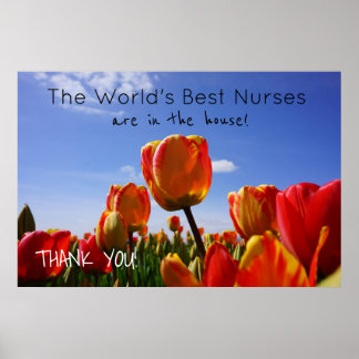 's Werelds beste verpleegkundigen posters Verpleeg