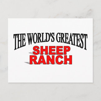 's Werelds grootste schaal van schapen Briefkaart