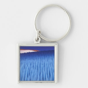 SA, Chili, regio Coquimbo, Nieve Penitente; Sleutelhanger