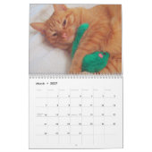 Sa Majesté le calendrier du chat 2011 (Mar 2027)