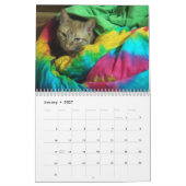 Sa Majesté le calendrier du chat 2011 (Jan 2027)