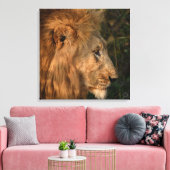 Sa Majesté le lion africain toile enveloppée Impri (Insitu(Salon))