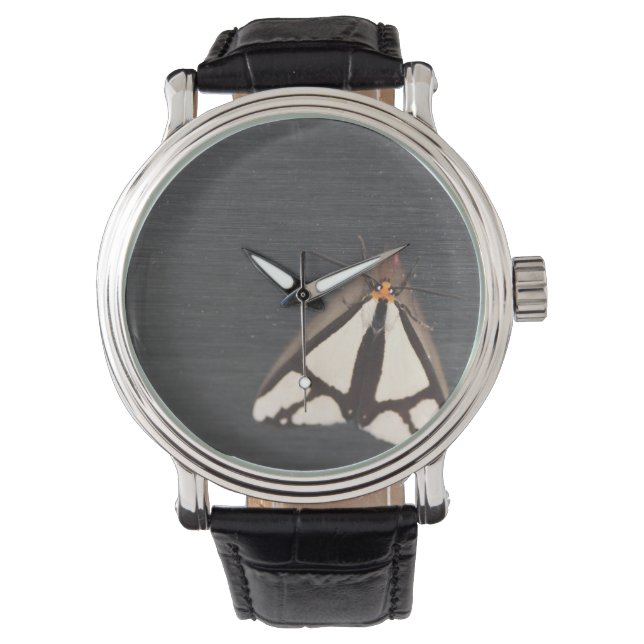 Sa montre Coolest (devant)