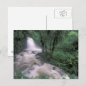 SA, Peru, S.H. Machu Picchu, Cascade en cloud Briefkaart (Voorkant / Achterkant)