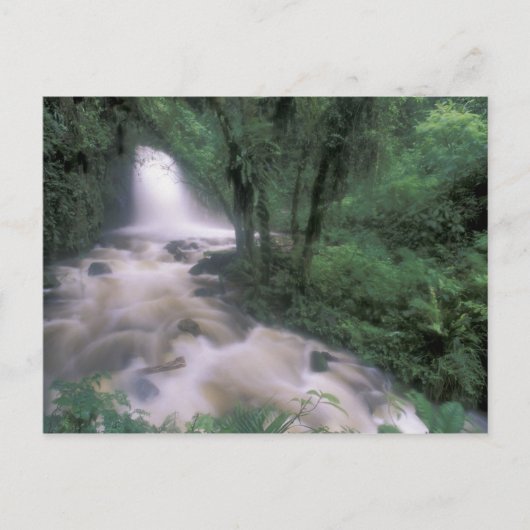 SA, Peru, S.H. Machu Picchu, Cascade en cloud Briefkaart (Voorkant)