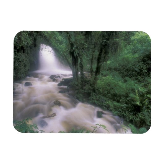 SA, Peru, S.H. Machu Picchu, Cascade en cloud Magneet (Horizontaal)