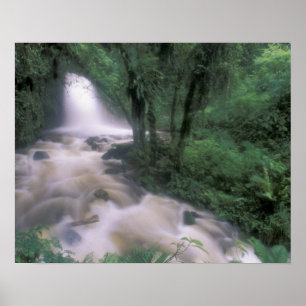 SA, Peru, S.H. Machu Picchu, Cascade en cloud Poster