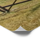 Saaremaa, eiland Estland, Poster (Hoek)