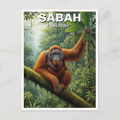 Sabah Malaysia Orangutan Travel Briefkaart (Voorkant)
