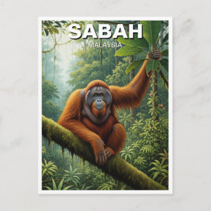 Sabah Maleisië Orang-oetan Reizen Briefkaart