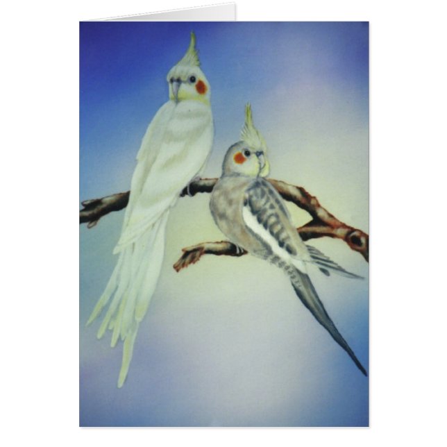 "Sabastian and Tootie-Ann" (Voorkant)