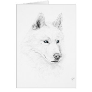 Saber A Siberian Husky Drawing Art Blue Eyes