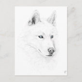 Saber A Siberian Husky Drawing Art Blue Eyes Briefkaart (Voorkant)
