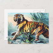 Saber Toothed Tiger Briefkaart (Voorkant / Achterkant)