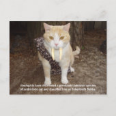 Sabertooth Bubba Briefkaart (Voorkant)