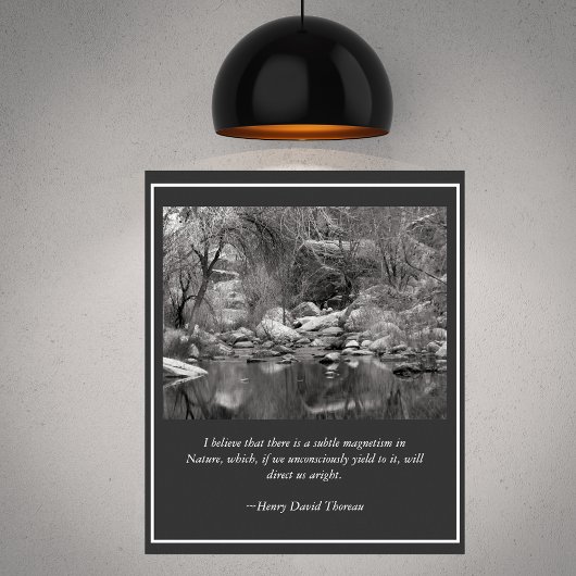 Sabino Canyon Creek Winter Scene Poster