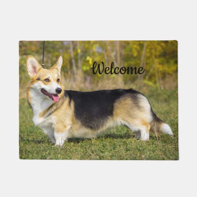 Sable Cardigan Welsh Corgi Dog Deurmat (Voorkant)