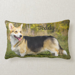 Sable Cardigan Welsh Corgi Dog Kussen