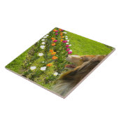 Sable Collie N Tulpen Tegel Trivet Tegeltje (Zijkant)