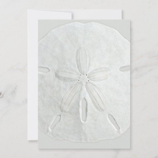 Sable Dollar Anniversaire Fête Invitation (Dos)