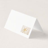 Sable et Starfish couleur neutre naturelle (Back)