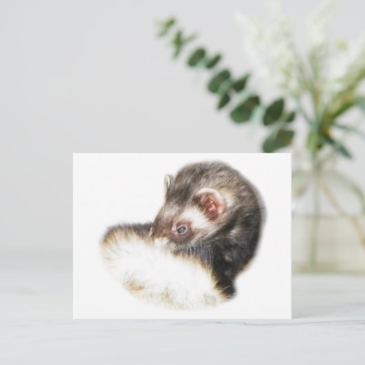 Sable Ferret Afbeelding Briefkaart (Staand voorkant)