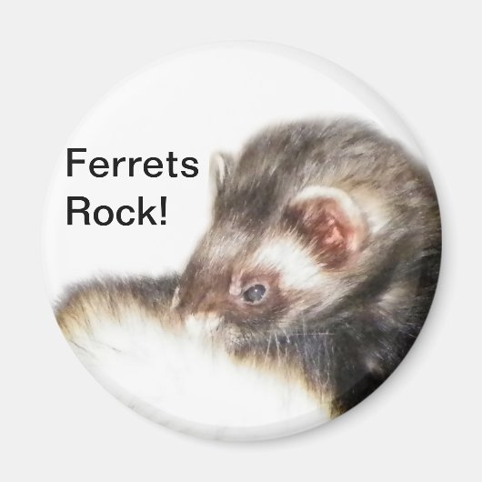 Sable Ferret Afbeelding Magneet (Voorkant)