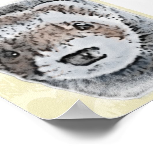 Sable Ferret Afbeelding Poster (Hoek)